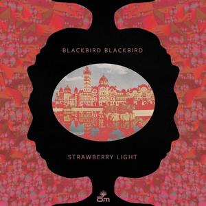 Blackbird Blackbird